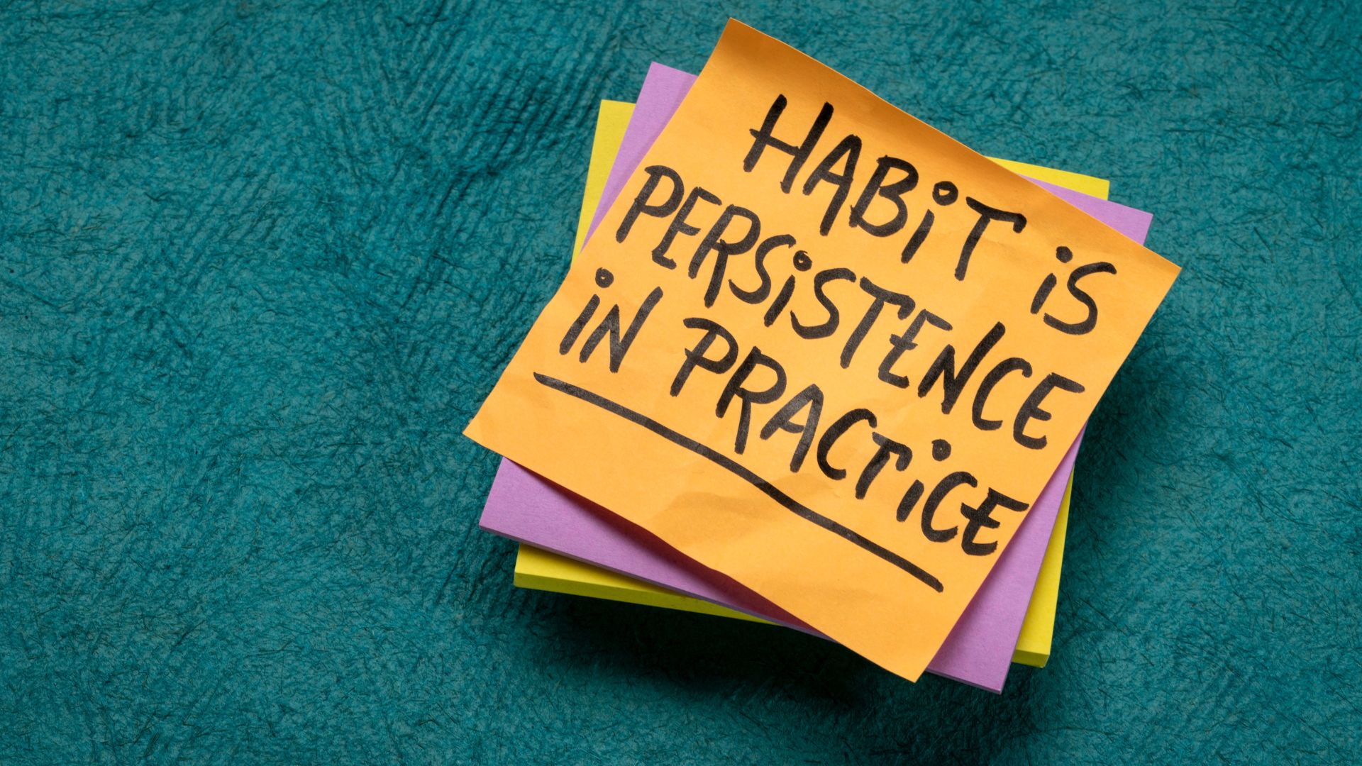Daily PQ Reps: Tiny Habits That Rewire Leadership Thinking