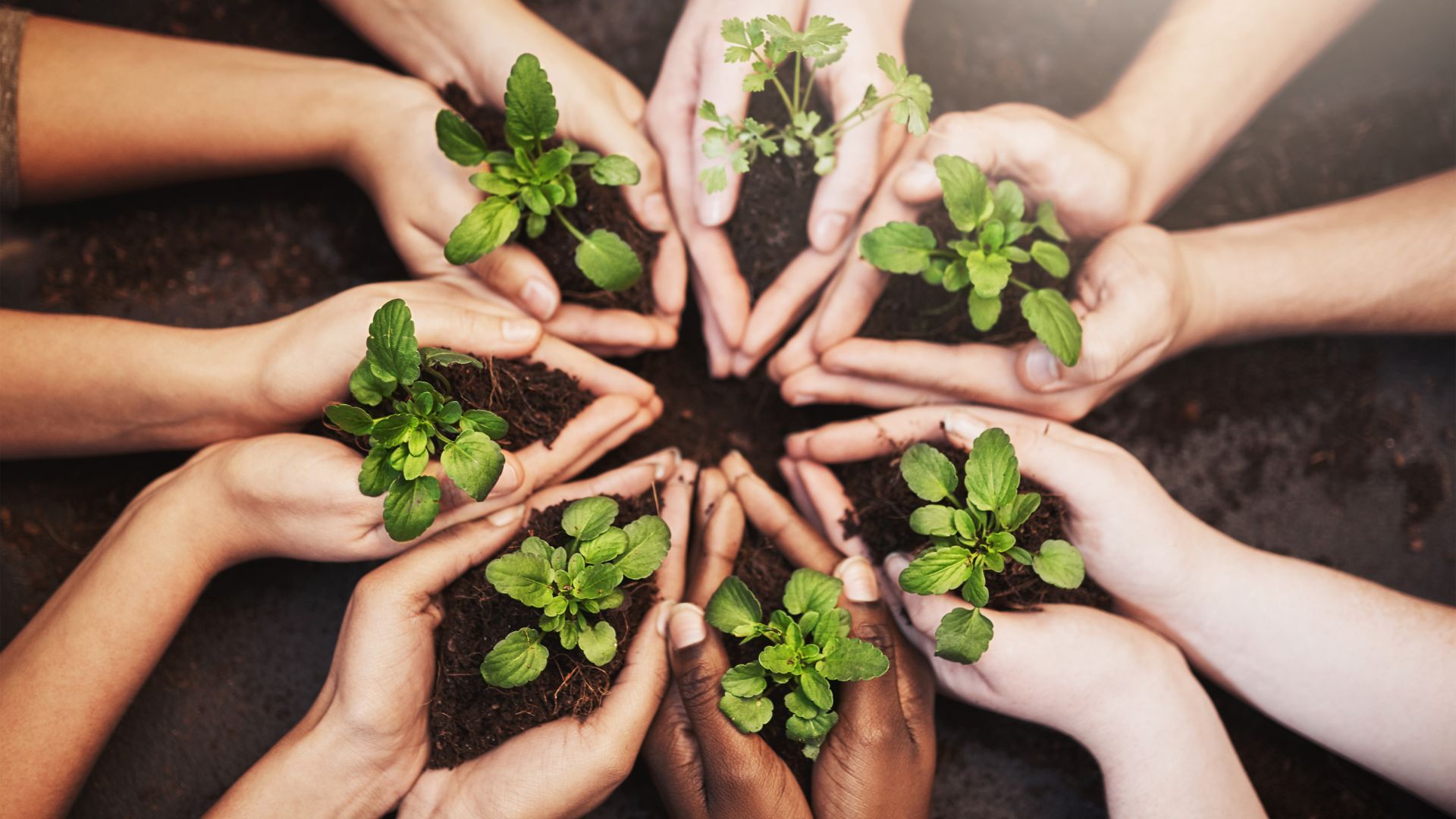 Creating a healthy workplace: Leadership’s crucial role in promoting psychological safety